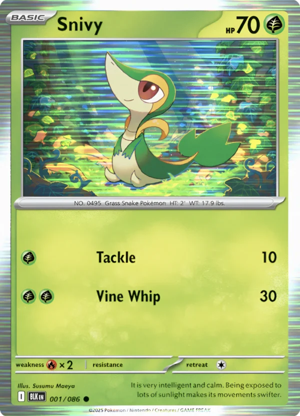 Pokemon TCG - Black Bolt & White Flare - Unova Poster Collection - INGLES